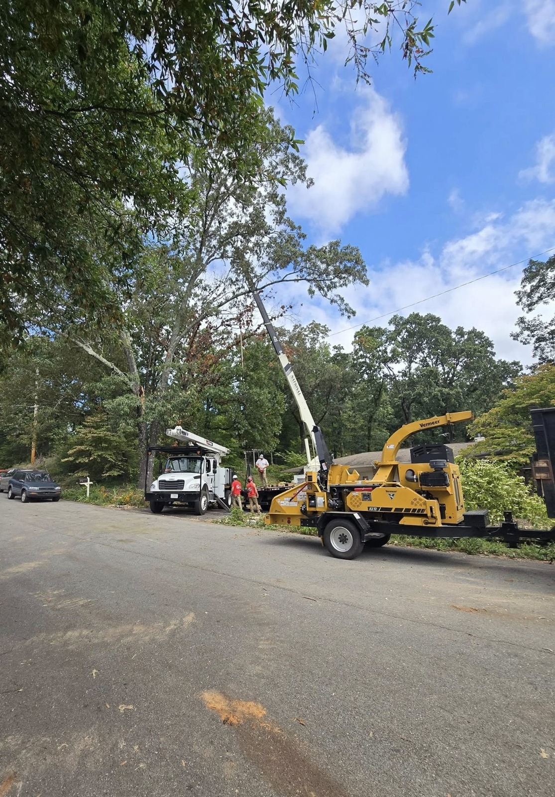 marketing for tree services